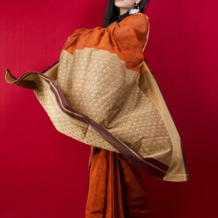 Woman in a rust and beige silk saree